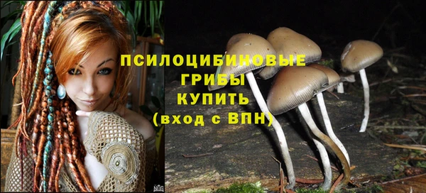 первитин Покровск