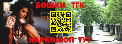 индика Абакан