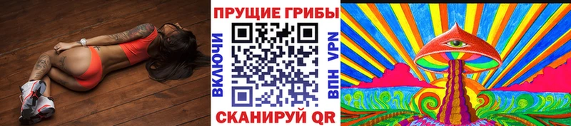 мега как зайти Азнакаево Галлюциногенные грибы прущие грибы продажа наркотиков